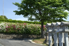 12街区前から