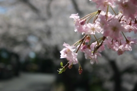 色彩に溢れた霊苑です。