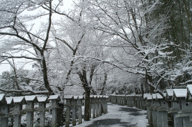 参道道路です