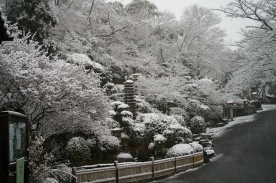霊苑入口の庭園が雪化粧